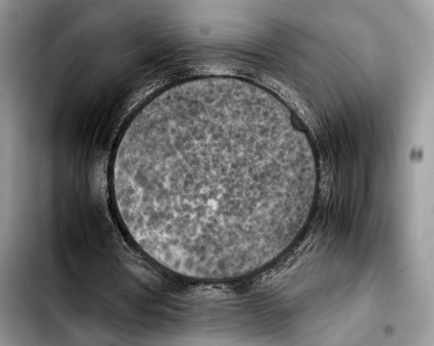 X0000103430386200810101047