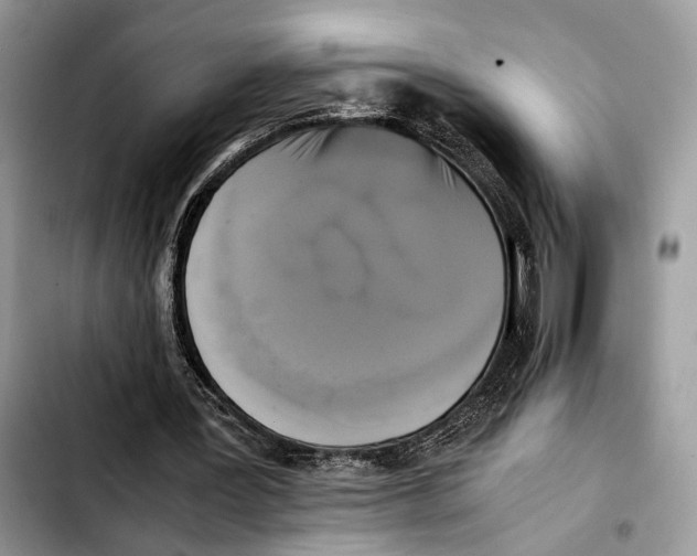 X0000103430387200810101047