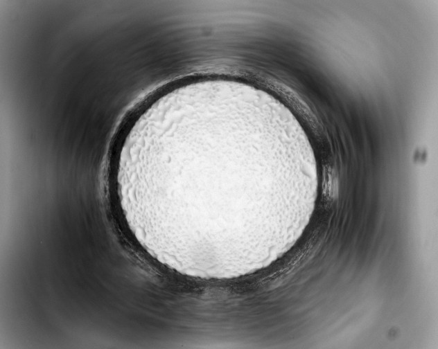 X0000103430388200810101047
