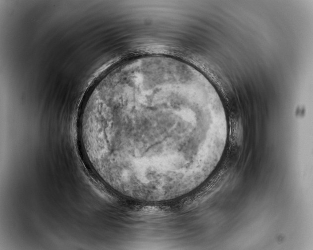 X0000103430390200810101047