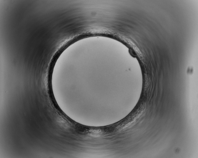 X0000103430391200810101047