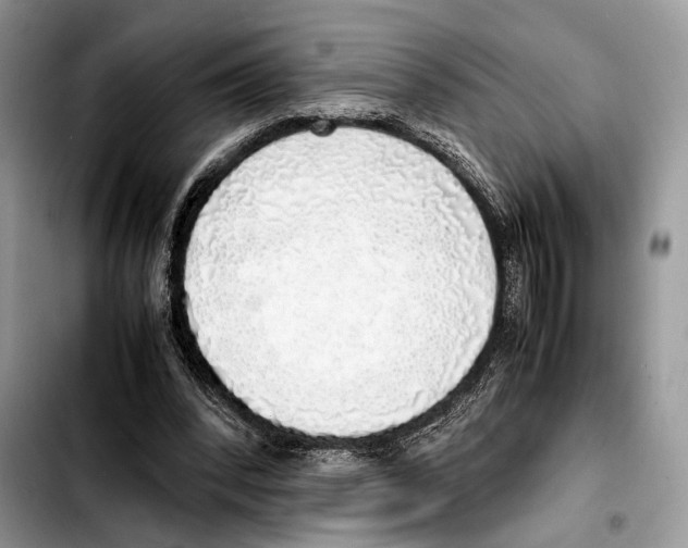 X0000103430392200810101047