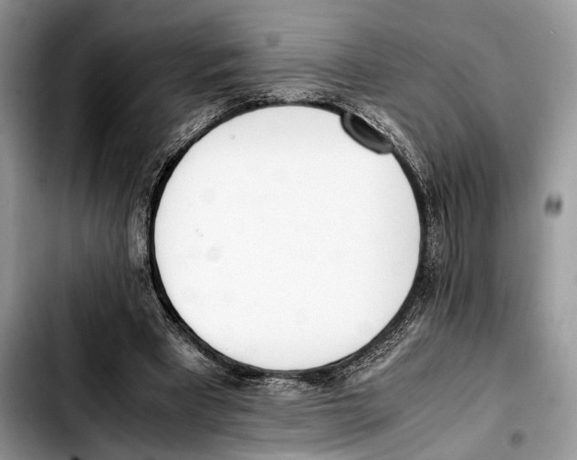 X0000103430393200810101047