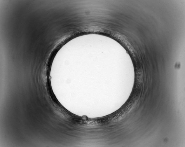 X0000103430395200810101047