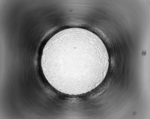 X0000103430396200810101047