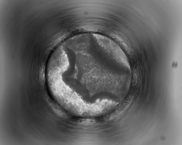 X0000103430398200810101047