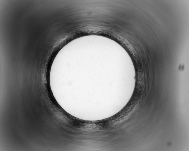 X0000103430399200810101047
