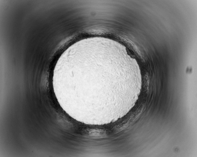 X0000103430400200810101047