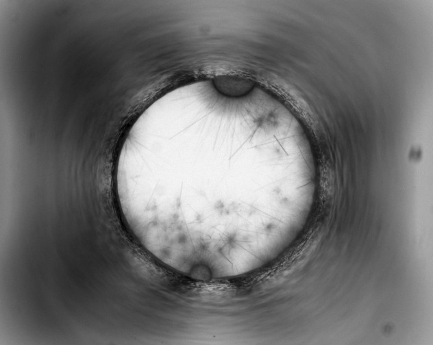 X0000103430401200810101047