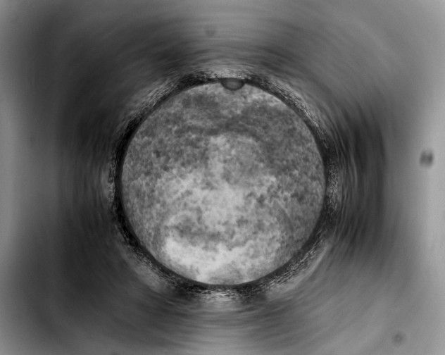 X0000103430402200810101047