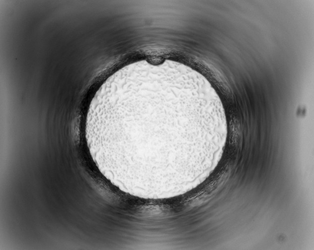 X0000103430404200810101047