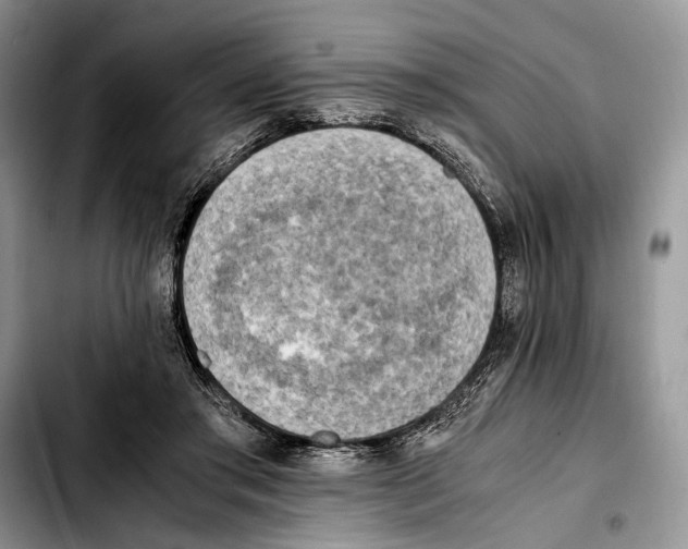 X0000103430405200810101047