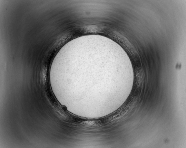 X0000103430406200810101047