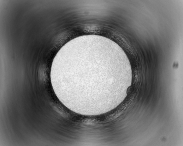 X0000103430408200810101047