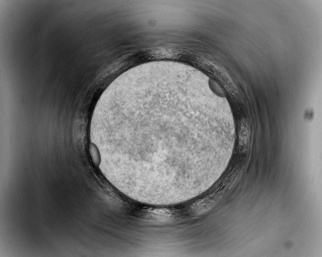 X0000103430409200810101047