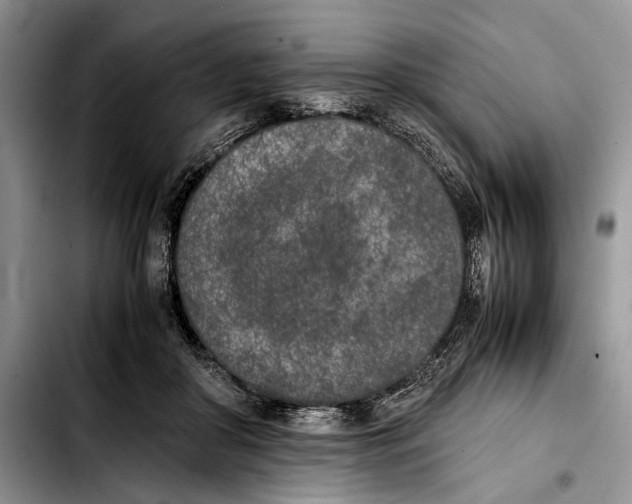 X0000103430410200810101047