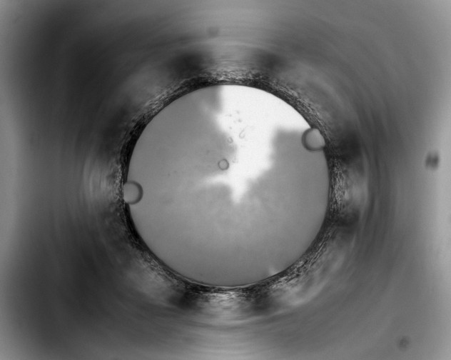 X0000103430411200810101047