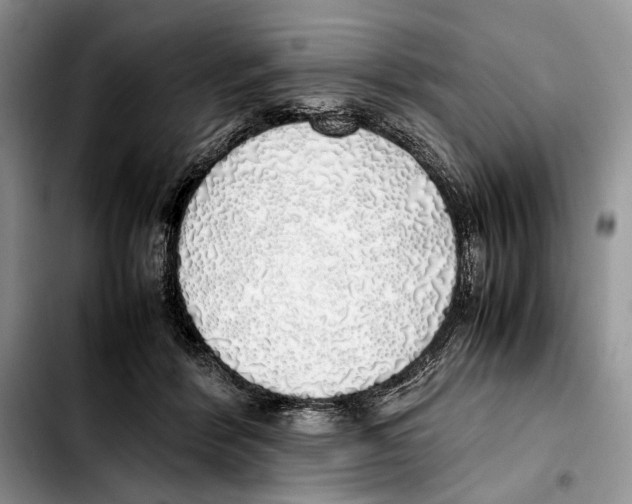 X0000103430412200810101047