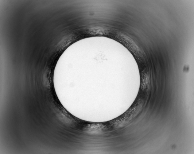 X0000103430414200810101047