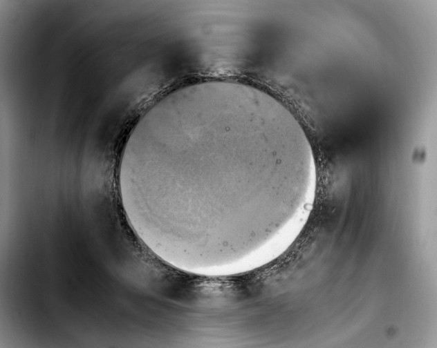 X0000103430415200810101047