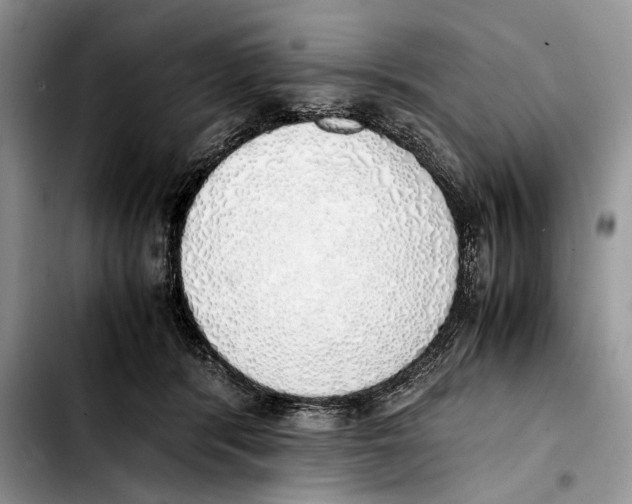 X0000103430416200810101047