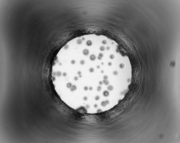 X0000103430417200810101047