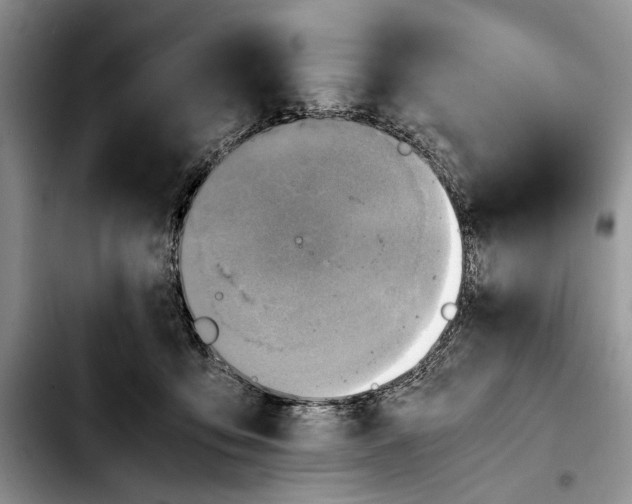 X0000103430419200810101047