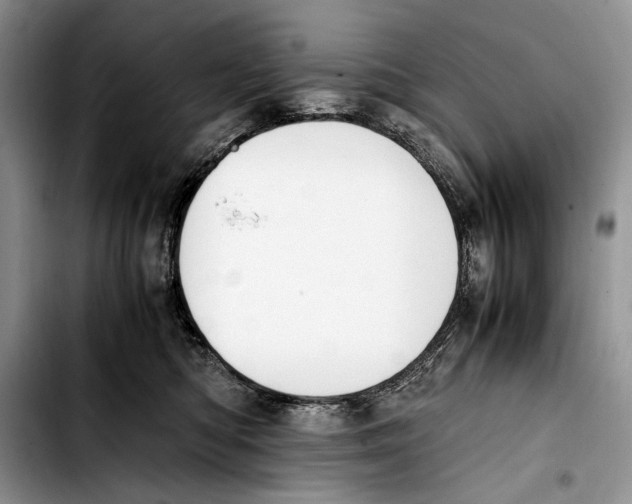 X0000103430422200810101047