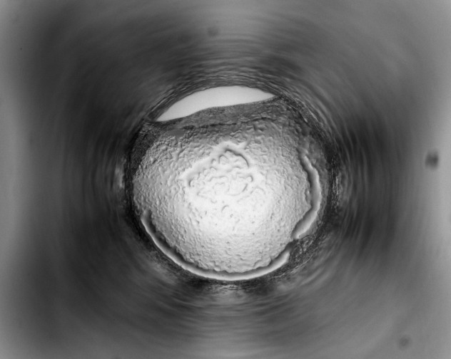 X0000103430424200810101046