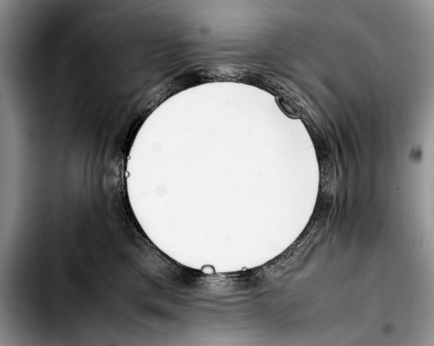 X0000103430425200810101046
