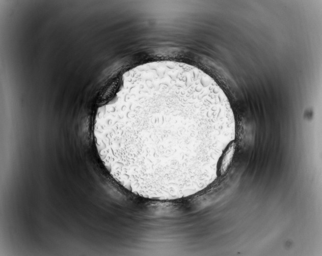 X0000103430428200810101046