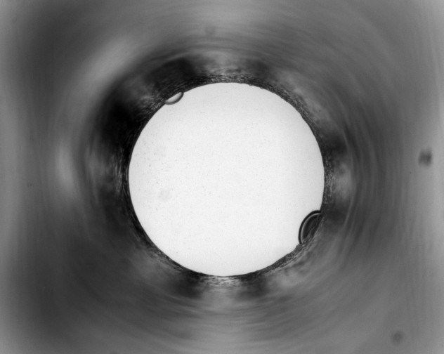 X0000103430429200810101046