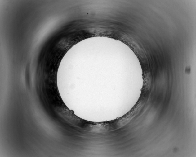 X0000103430430200810101046