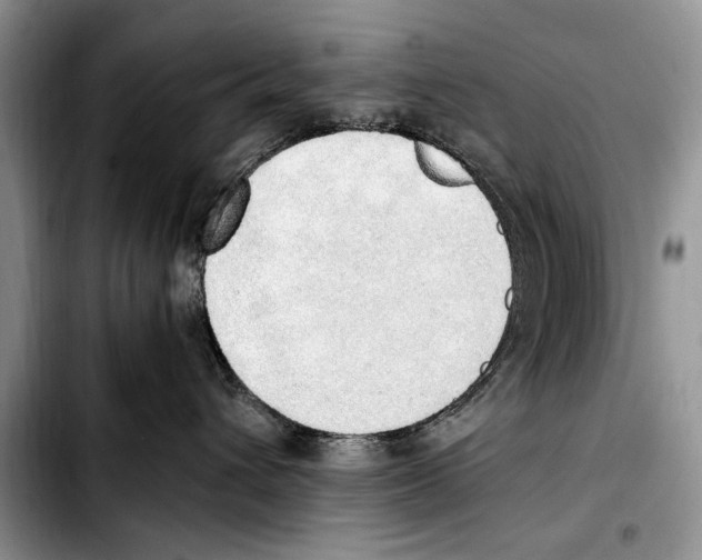 X0000103430432200810101046