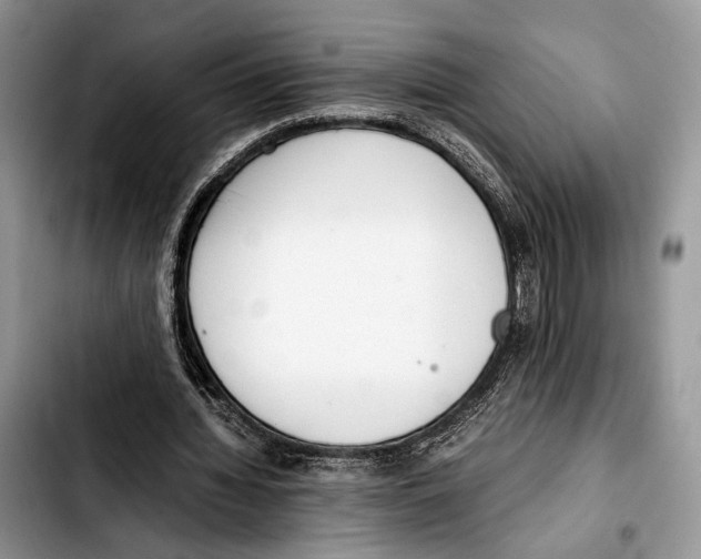 X0000103430436200810101046