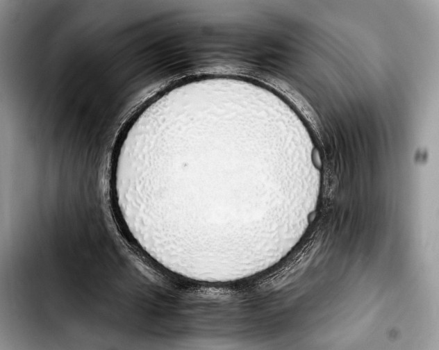 X0000103430437200810101046