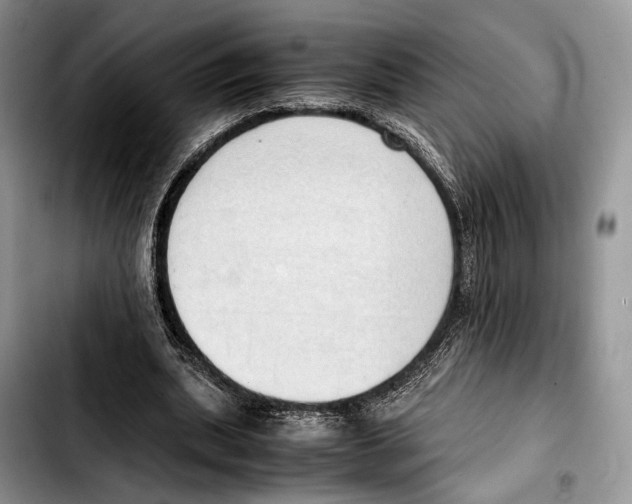 X0000103430439200810101046