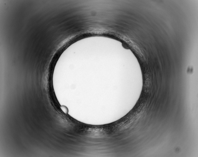 X0000103430440200810101046