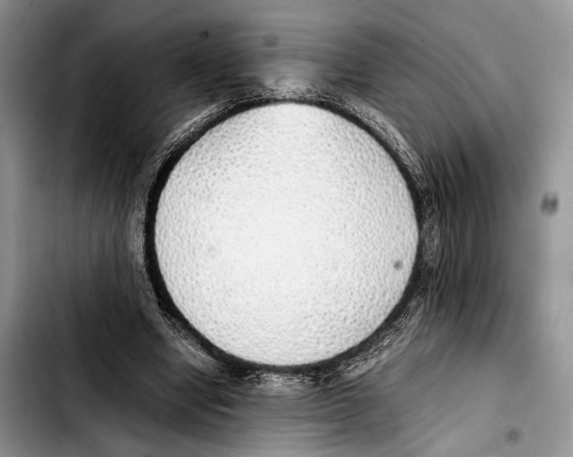 X0000103430442200810101046