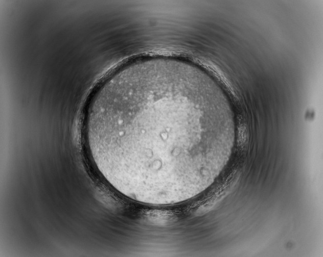 X0000103430444200810101046