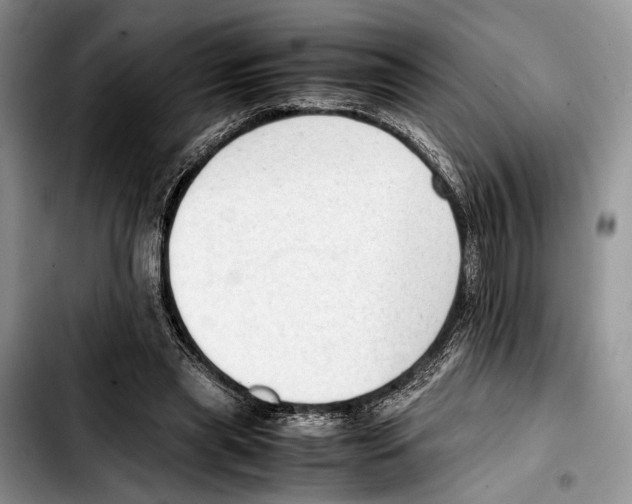 X0000103430445200810101046