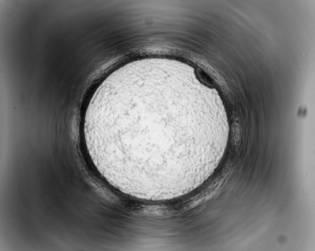X0000103430446200810101046