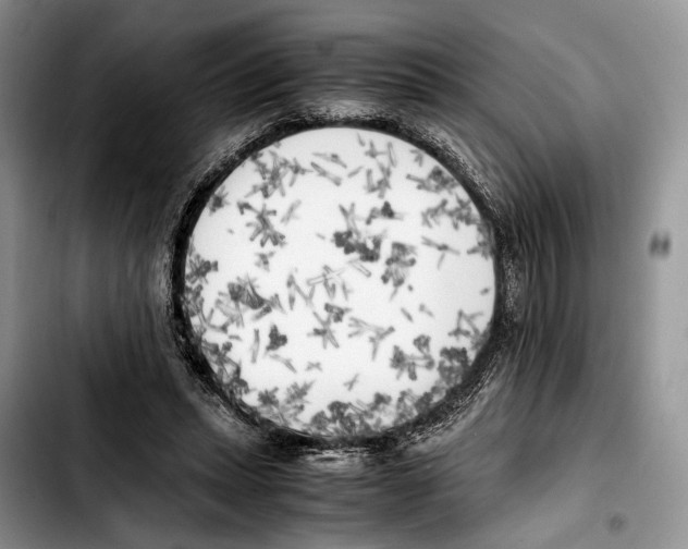 X0000103430447200810101046