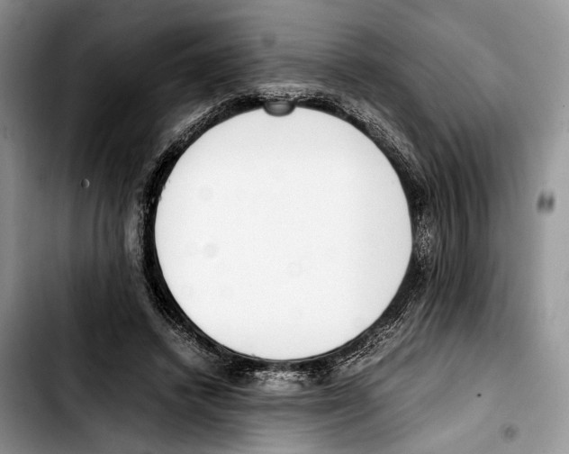 X0000103430448200810101046