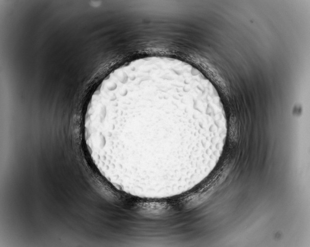 X0000103430449200810101046
