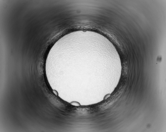 X0000103430450200810101046
