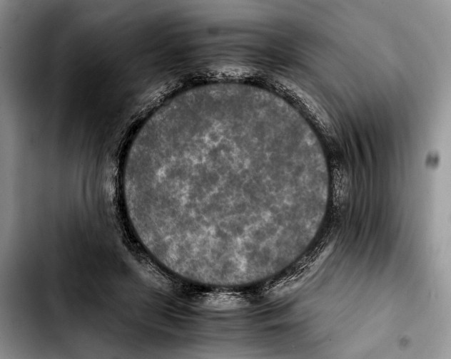 X0000103430451200810101046