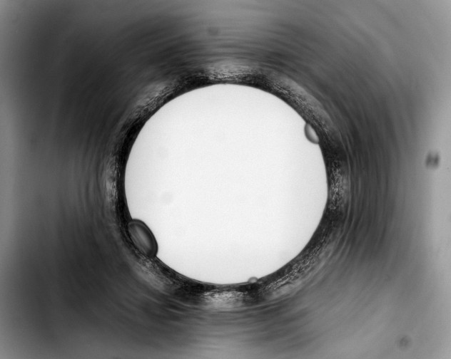 X0000103430452200810101046