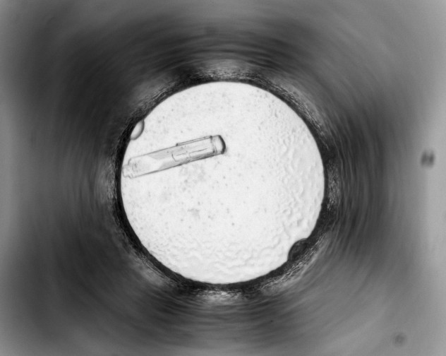 X0000103430453200810101046