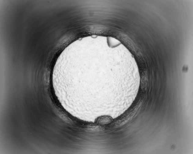 X0000103430454200810101046